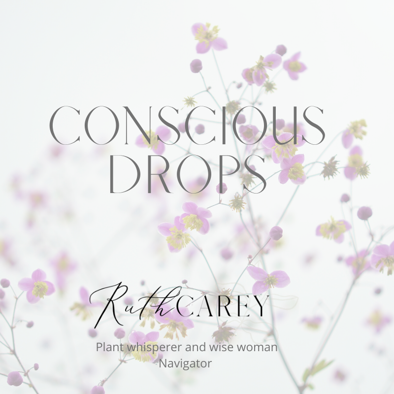 Conscious Drops