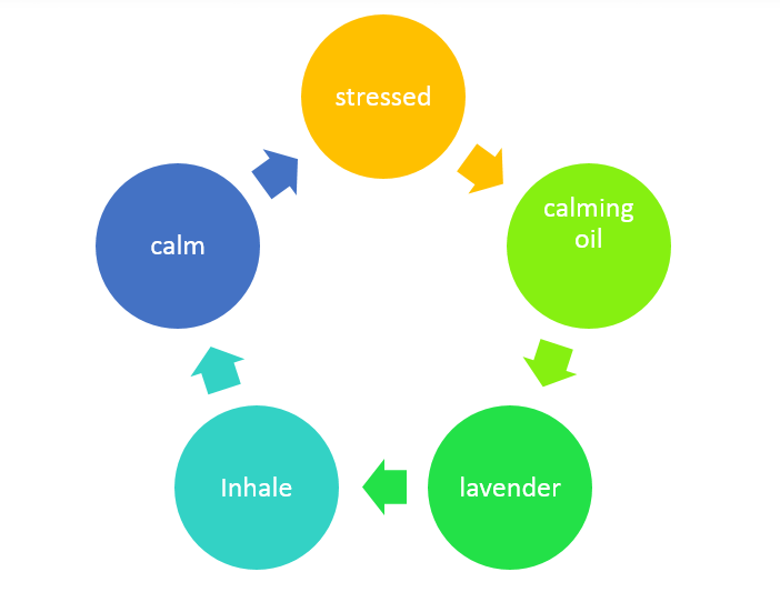 cycle of stress and calm